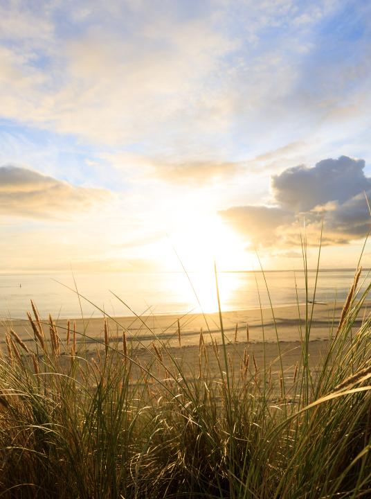 Machen Sie Urlaub und übernachten Sie auf den schönen Watteninseln Texel, Vlieland, Terschelling, Ameland und Schiermonnikoog - Wadden.nl
