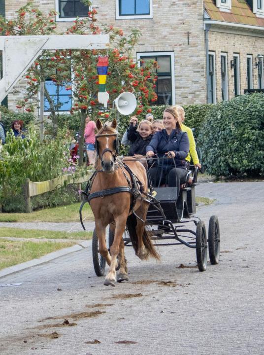 Ringsteken Hoorn - VVV Terschelling - Wadden.nl