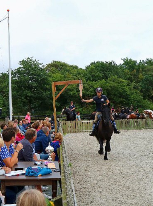 Ringsteken te paard Formerum - VVV Terschelling - Wadden.nl