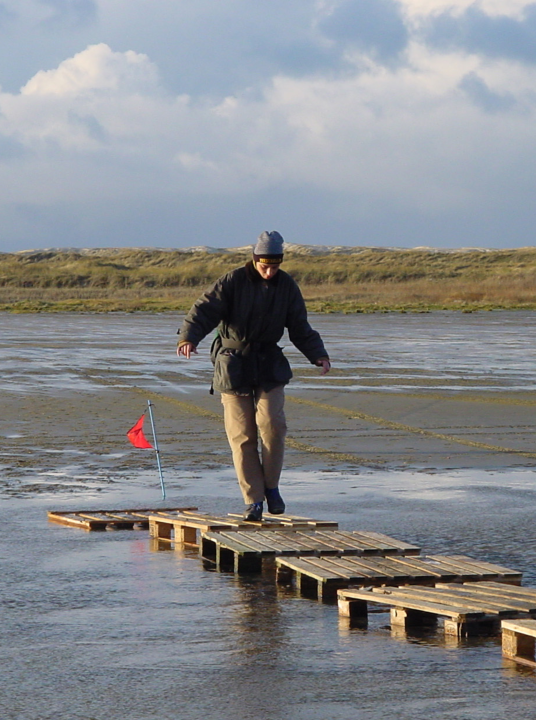 Weihnachtswanderung - VVV Terschelling - Wadden.nl