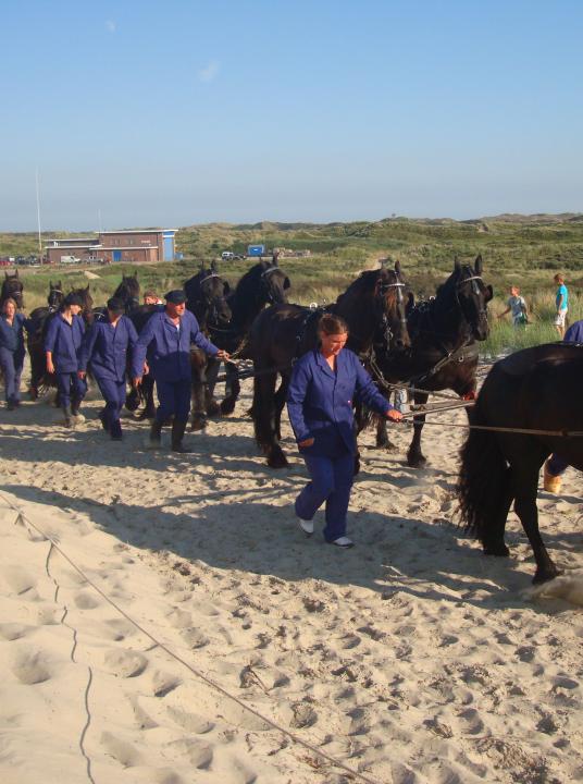 Demonstration Ruderrettungsboot mit Pferde Oosterend - VVV Terschelling - Wadden.nl