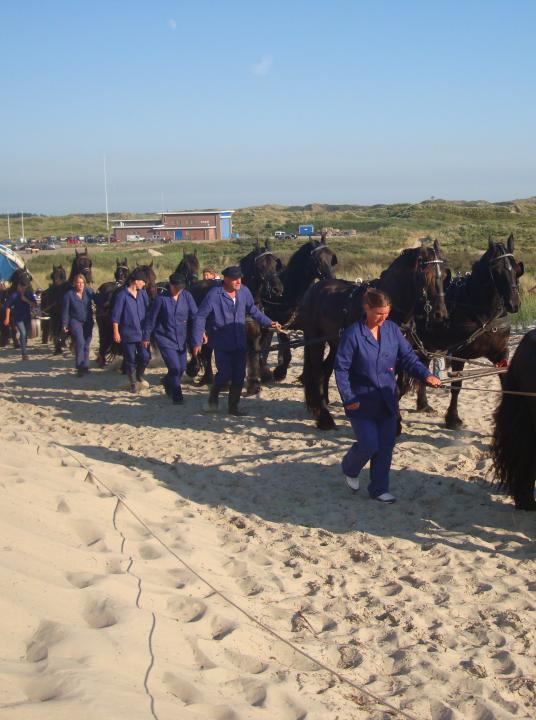 Demonstration Ruderrettungsboot - VVV Terschelling - Wadden.nl