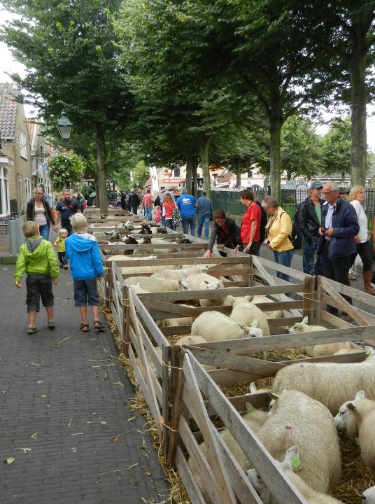 Tiermarkt - VVV Terschelling - Wadden.nl