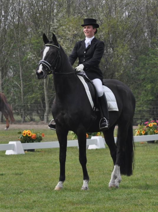 Texel Weekend Paardensport - VVV Texel - Wadden.nl