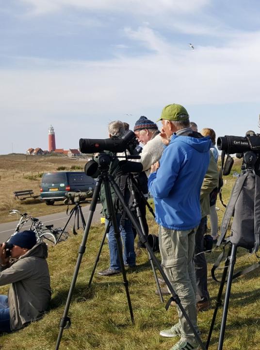 Waddenvogelfestival - VVV Texel - Wadden.nl