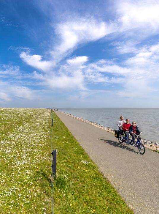 Wat te doen op de Waddeneilanden met kinderen - Wadden.nl