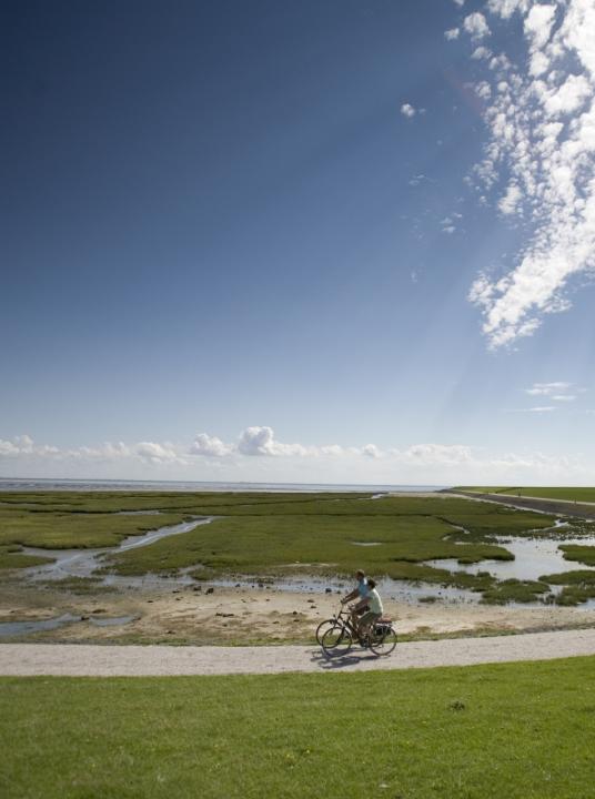 Tag des Wad - VVV Terschelling - Wadden.nl
