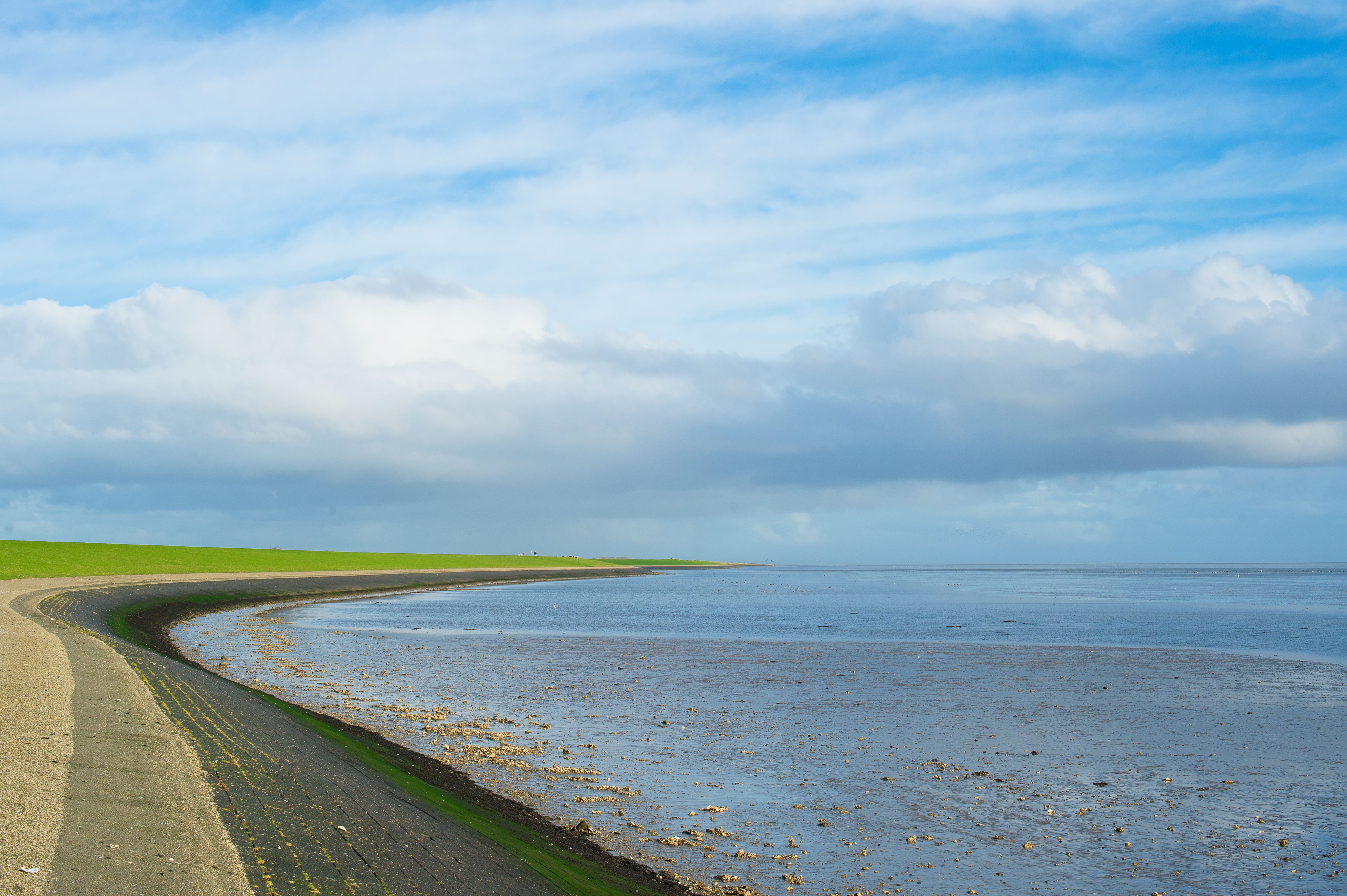 Weltnaturerbe Wattenmeer - Wadden.nl
